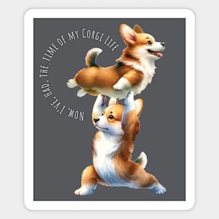 Corgi & Johnny Dancing Lift Corgi Life Magnet